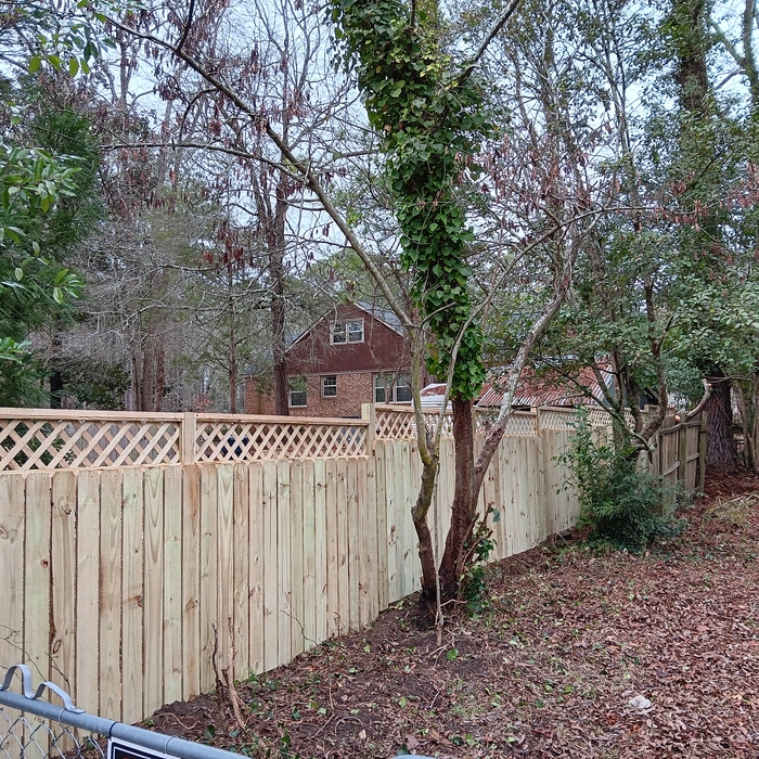 Beautiful lattice fence!