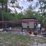 Chicken Coop
