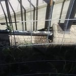 CUSTOM IRON FENCE REPAIR