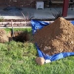 Protecting the existing landscape.