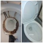 Recent Projects