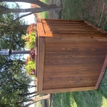 Solar yard light