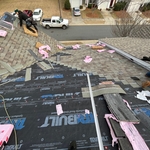 During Project