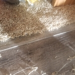 Remodel