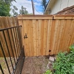 Balcones woods