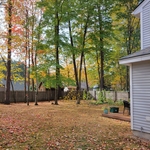 griff's trees