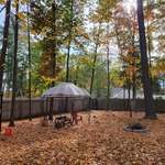 back yard cutting