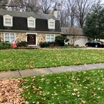Front yard 1
