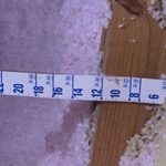 Attic Work