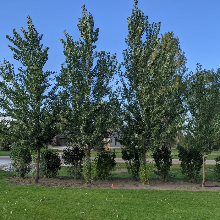 Bismarck Home Near River