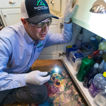 Rodent Services