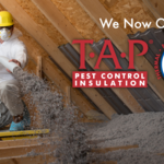 Insulation Install