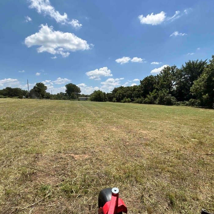 Lawn restoration