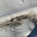 One of five dime sized holes in roof