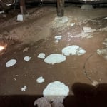 Mold under House