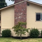 Tree install