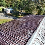 Metal Roof