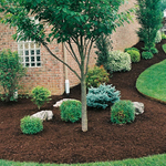 mulching