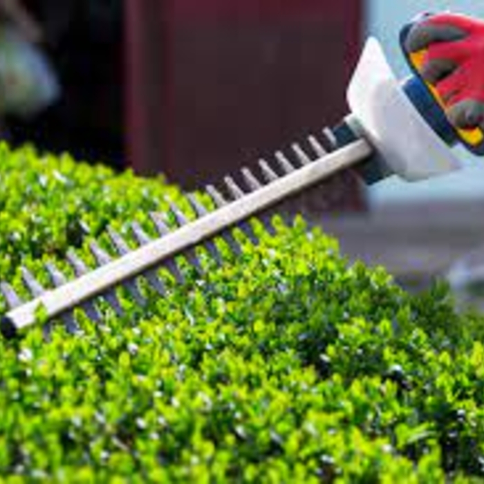 hedging