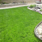 Riverside Lawn Care