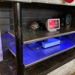 Fire Place with Custom Shelves