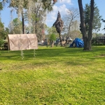 Back yard