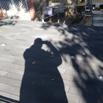Garage reroof