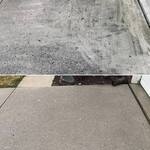 Driveway- Before/After