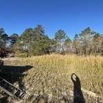 1/4 acre in Marion oaks