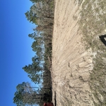 1/4 acre in Marion oaks