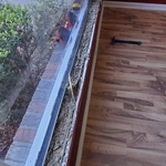 Window repair