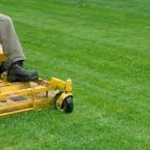 Larger Yard