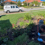 Videoing a sewer line