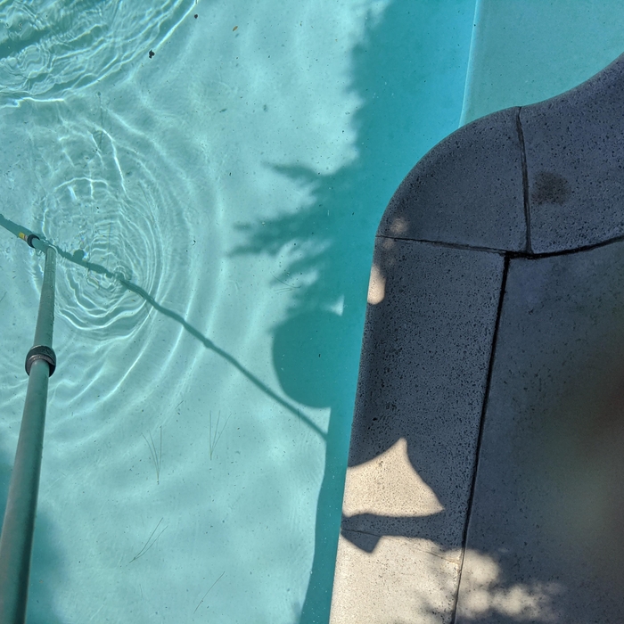 pool vaccuming