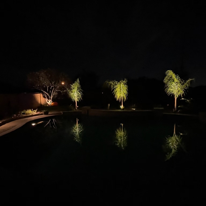 Landscape lighting around pool area