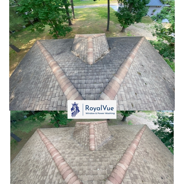 Roof Wash