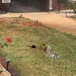 Demonstration of sprinkler mister head