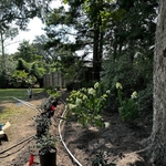 process photo