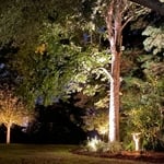 Powerful uplighting