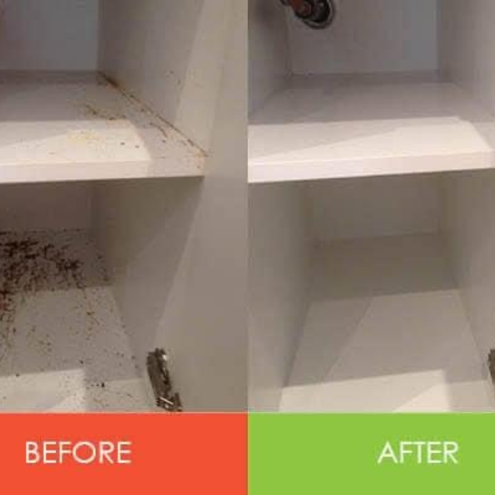 Pantry Cabinet Clean Out
