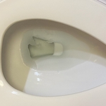 Cleaning a toilet