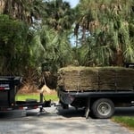 SOD Installation