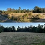 Before and After