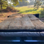 Hay
