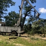 Tree Service