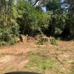 TREE SERVICE