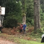 TREE SERVICE