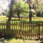 Wood Picket