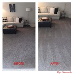 Fresh Carpet Lines from Theresa!