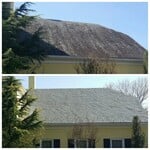 Roof Cleaning